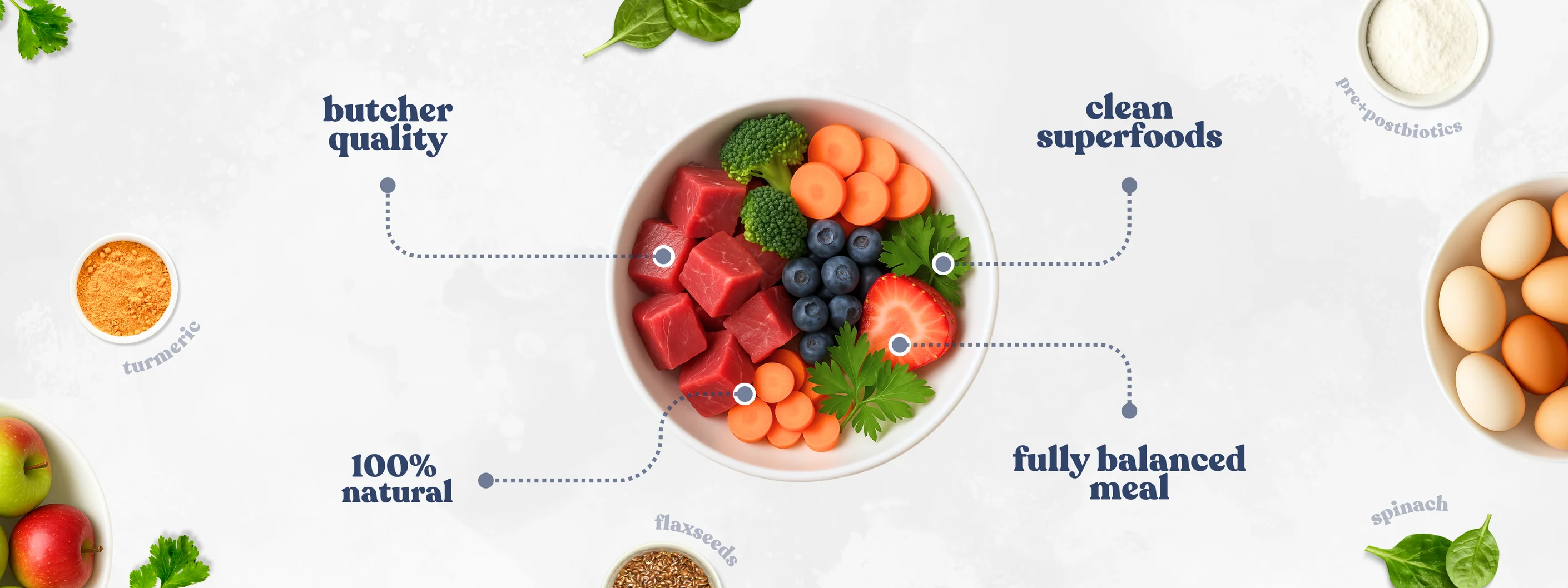 Superfoods for Your Best Friend